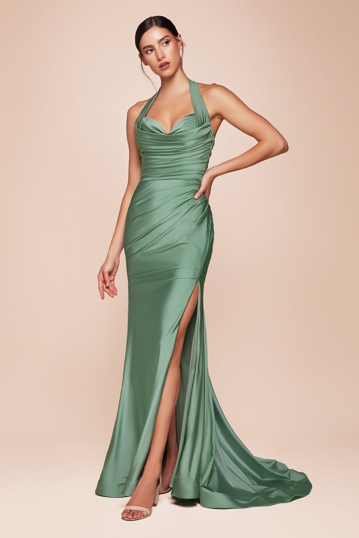 Ladivine CD796 DARK SAGE