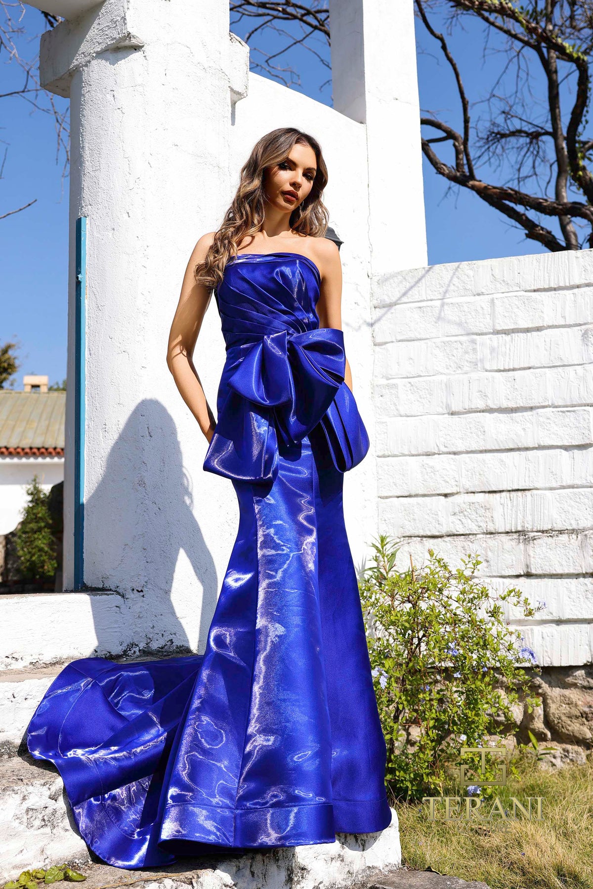 Terani Couture 252E5164