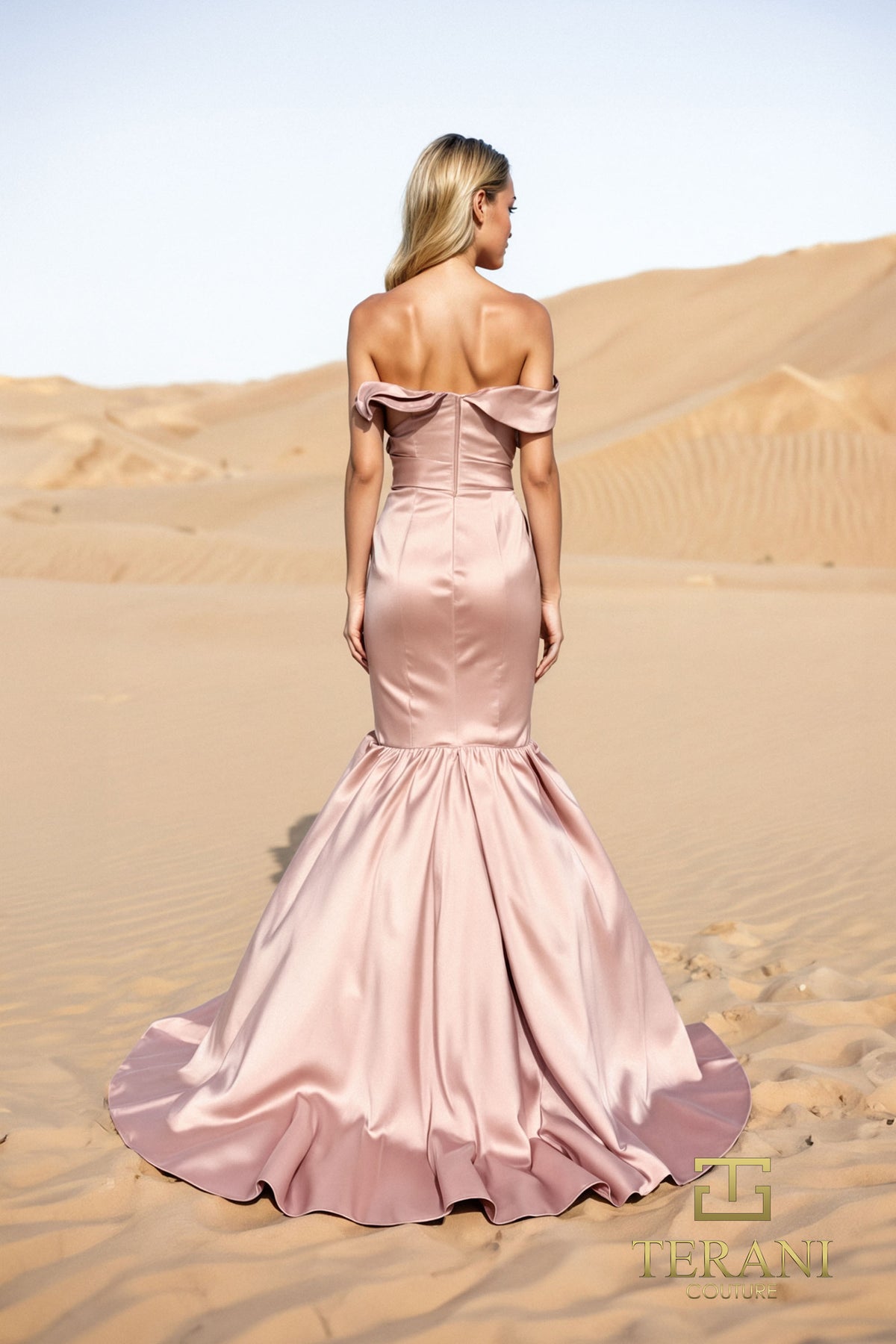 Terani Couture 251E4272